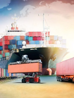  ORGANIZACIÓN DEL TRANSPORTE Y LA DISTRIBUCIÓN 